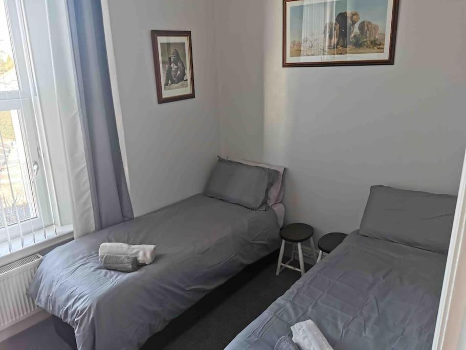 Number 7 Torquay Stunning Sea Views 아파트 외부 사진